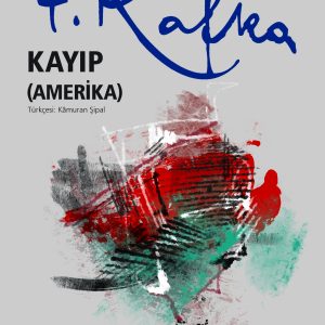 Kayıp (Amerika)