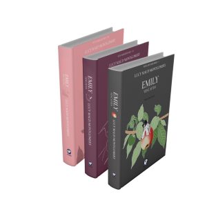 Rüzgarın Kızı Emily Serisi (3 Kitap)